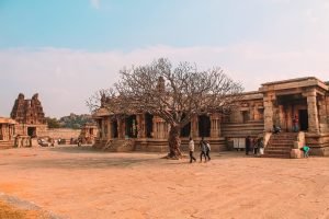 Usdt Trc20 Top 10 Betting Sites in India: Tested & Ranked for Indian Players (2026)